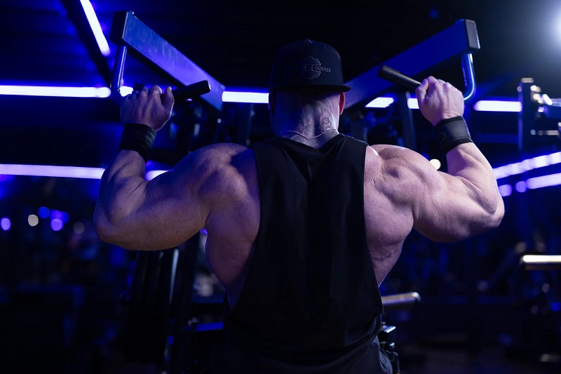 muscle growth