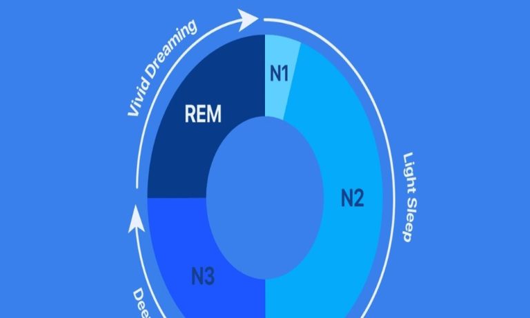 Why sleep stages matter, shown as a night-long timeline